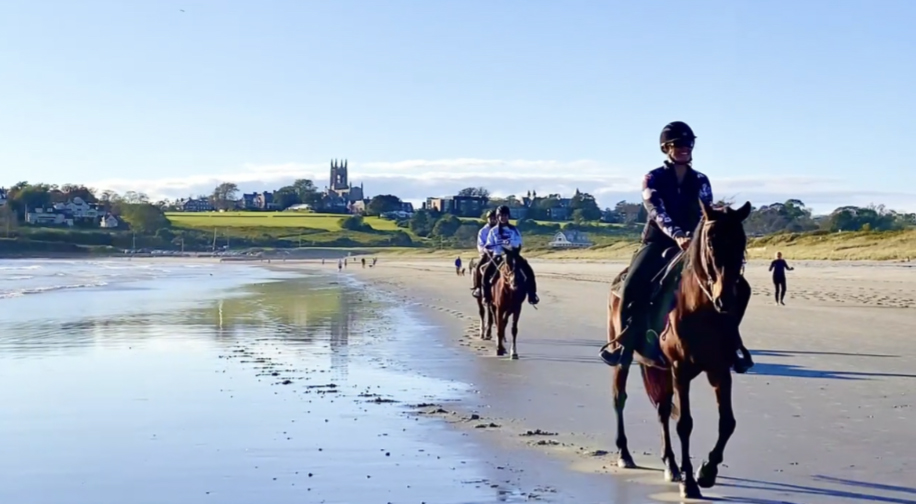 Business Story-Newport Equestrian