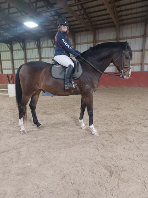 girl on a horse